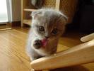 Name:  images[6].jpg
Views: 12
Size:  2.9 KB