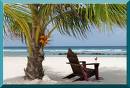 Name:  beach.jpg
Views: 12
Size:  3.7 KB