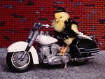 Name:  biker3.jpg
Views: 27
Size:  5.5 KB