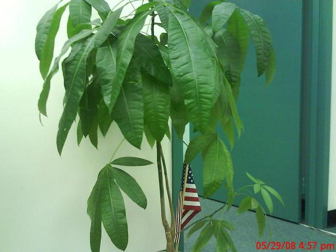 Name:  DSC00426.JPG
Views: 4556
Size:  46.3 KB