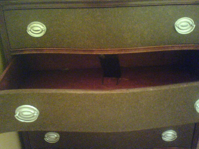 Name:  2nd drawer on vanity.jpg
Views: 973
Size:  106.9 KB