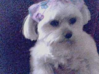 Name:  Picture 23.jpg
Views: 67
Size:  9.9 KB