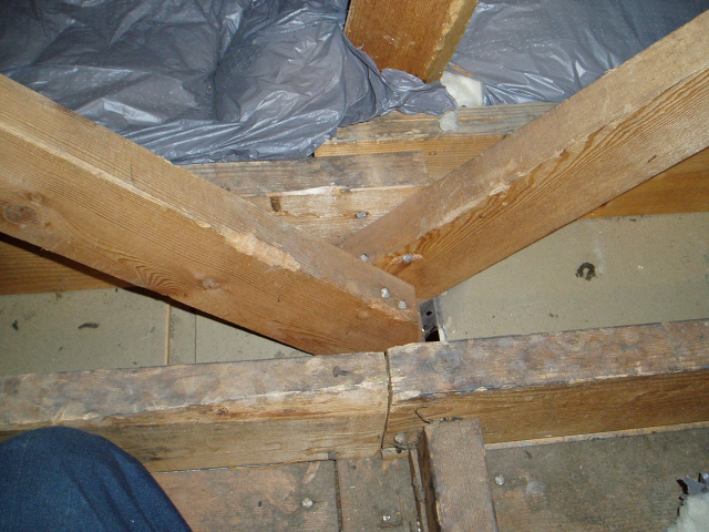 Name:  ceiling joints modified.jpg
Views: 18446
Size:  222.2 KB