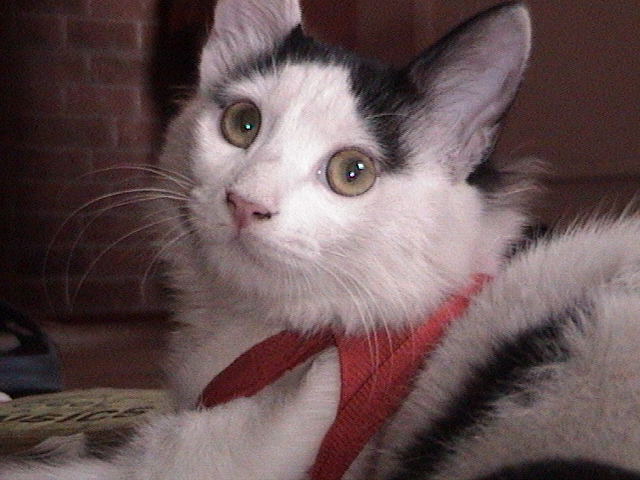 Name:  Picture sboo3 063.jpg
Views: 63
Size:  59.0 KB