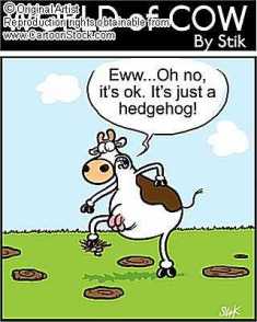 Name:  cow.jpg
Views: 17
Size:  13.5 KB