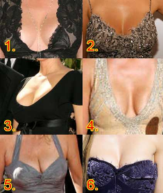 Name:  breasts.bmp
Views: 30
Size:  192.3 KB