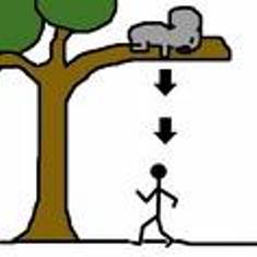 Name:  drop bear.jpg
Views: 28
Size:  7.1 KB
