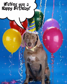 Name:  happy-birthday-dog.gif
Views: 27
Size:  48.0 KB