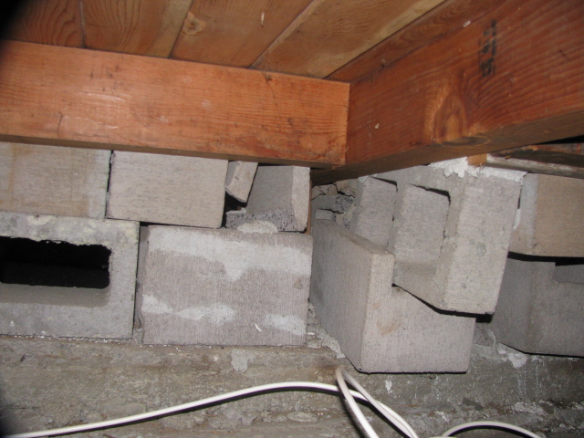 Name:  IMG_0514.JPG
Views: 5909
Size:  174.4 KB