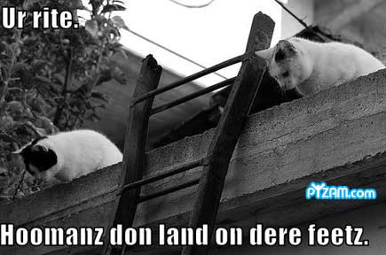 Name:  pyzammoomanz[1].jpg
Views: 151
Size:  21.7 KB
