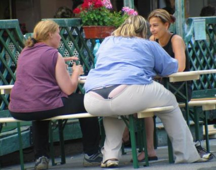 Name:  fat2.jpg
Views: 26
Size:  37.0 KB