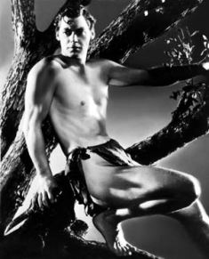 Name:  tarzan.jpg
Views: 43
Size:  16.4 KB