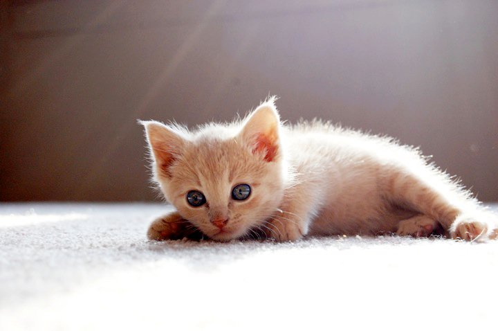 Name: 28965_618735357803_58213128_34966702_489679_n.jpg
Views: 104
Size: 41.5 KB