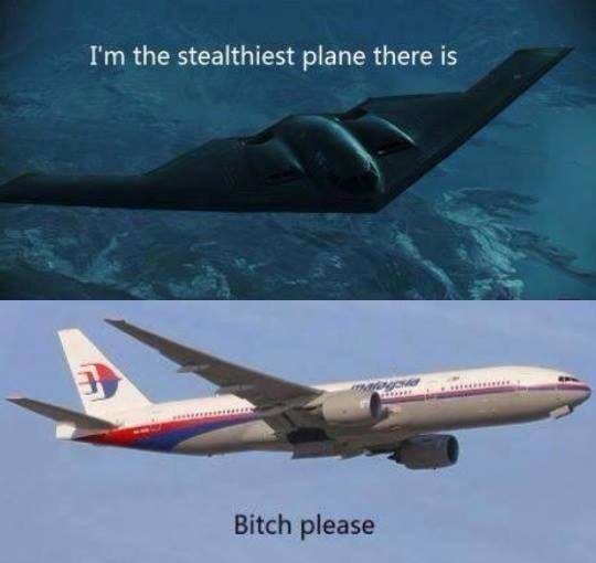 Name:  Mh 370 stealth.jpg
Views: 466
Size:  24.1 KB