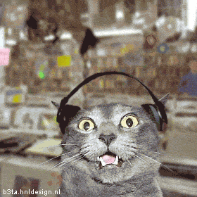 Name:  cat-headphones-record-store.gif
Views: 131
Size:  234.5 KB