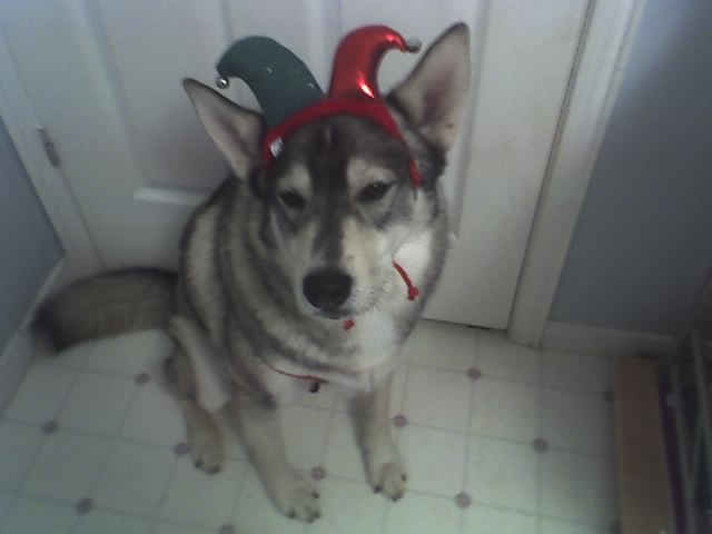 Name: 18-11-07_1817.jpg
Views: 150
Size: 42.3 KB