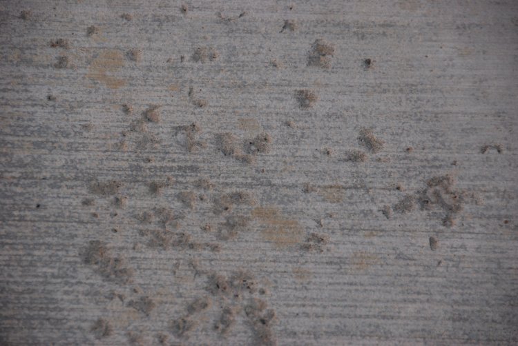 Concrete Driveway Pitting