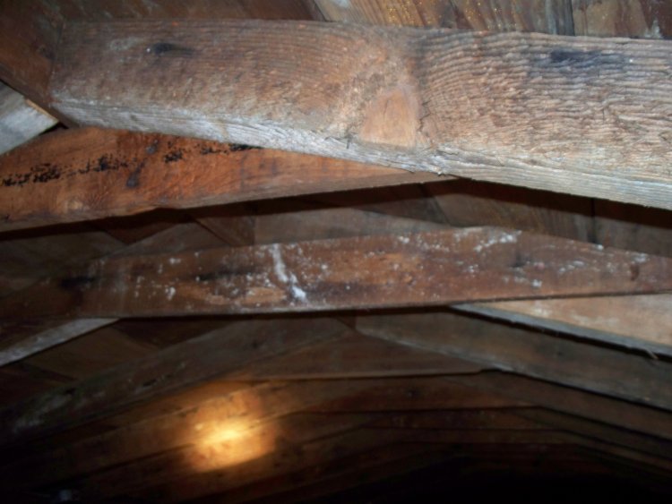 Dry rot Dry rot
