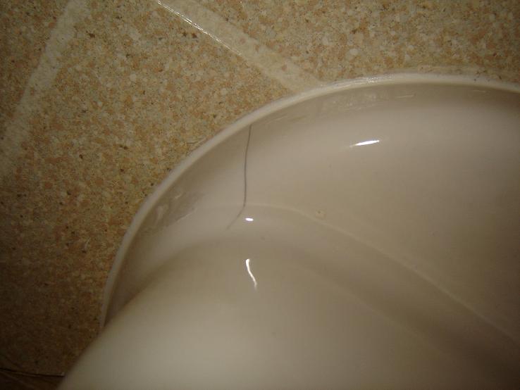 Identifying a possible toilet crack!