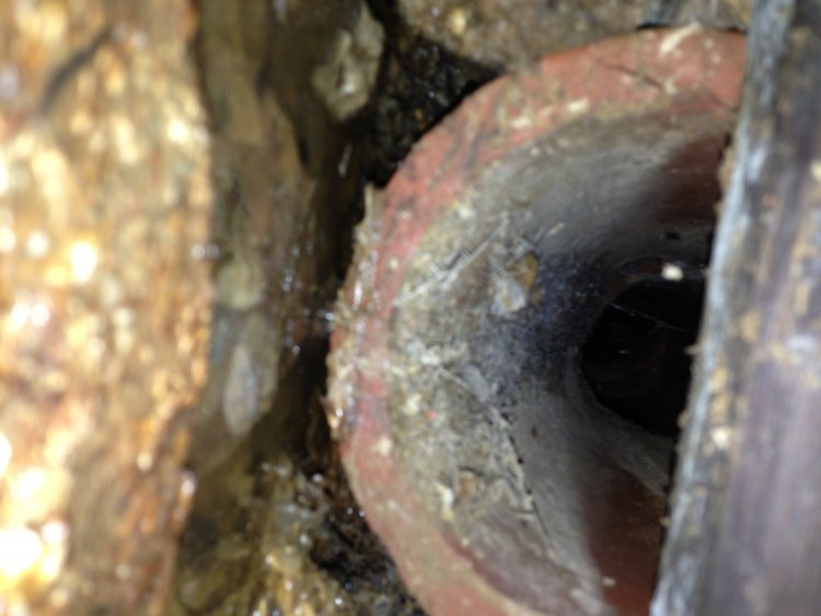 Help identifying hole with drain in basement