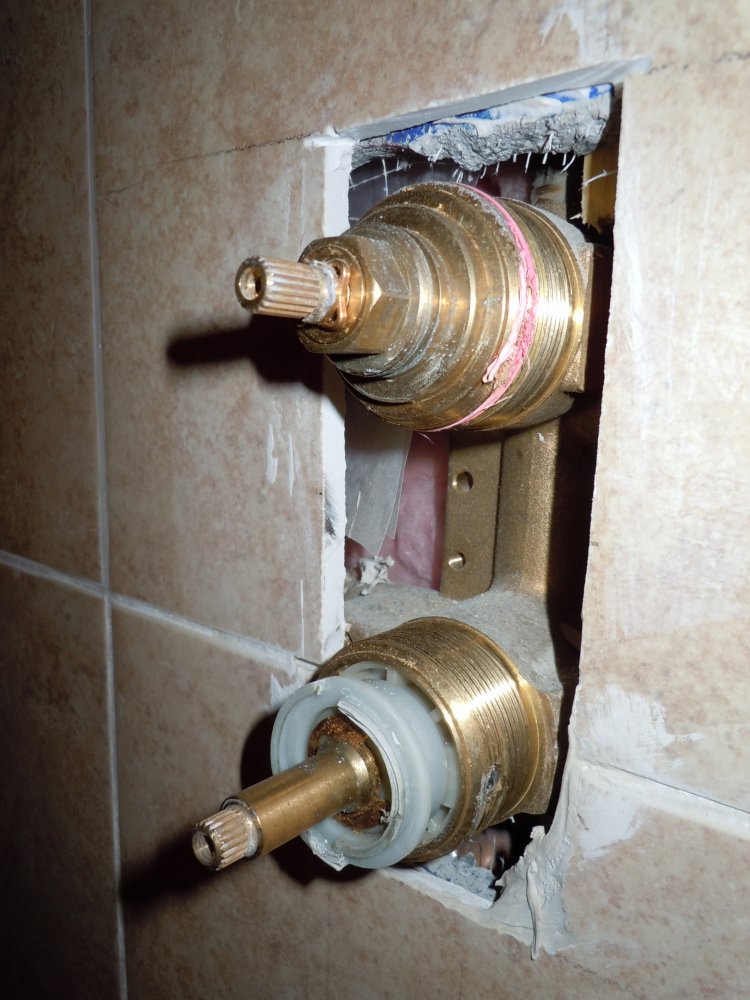 Help needed for identifying shower mixing cartridge