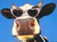 techwreck's Avatar