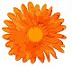 SunShine2010's Avatar