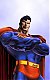 The_Nice_Guy's Avatar