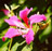Wellie's Avatar