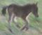 seepony's Avatar