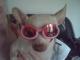 meoww_63's Avatar