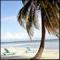 jholtz3944's Avatar