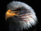 sueq1969's Avatar
