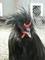 joshuaw's Avatar