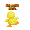 blive's Avatar