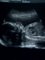 paigemumymoss's Avatar