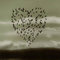 birdlover's Avatar