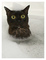 hellokittah2011's Avatar