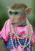 liahharrison's Avatar