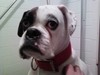 davidfulton's Avatar
