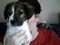 dog_lover123422's Avatar