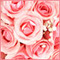 dania_239's Avatar