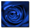 MOMMATEDDYBEAR's Avatar