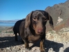 Vali65's Avatar