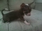 mekohs_mom's Avatar