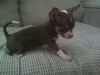 mekohs_mom's Avatar