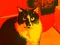 PepsiOnMyDesk's Avatar