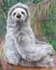Alan_The_Sloth's Avatar
