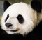 lien721's Avatar