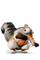 nO_NaME_guY's Avatar